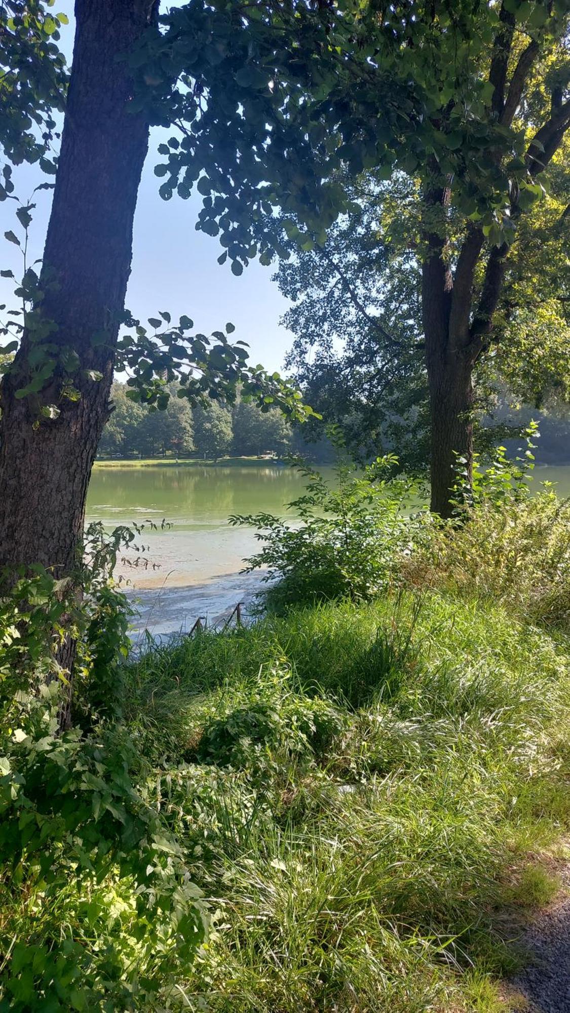 Domki Nad Jeziorem Karlowice Экстерьер фото